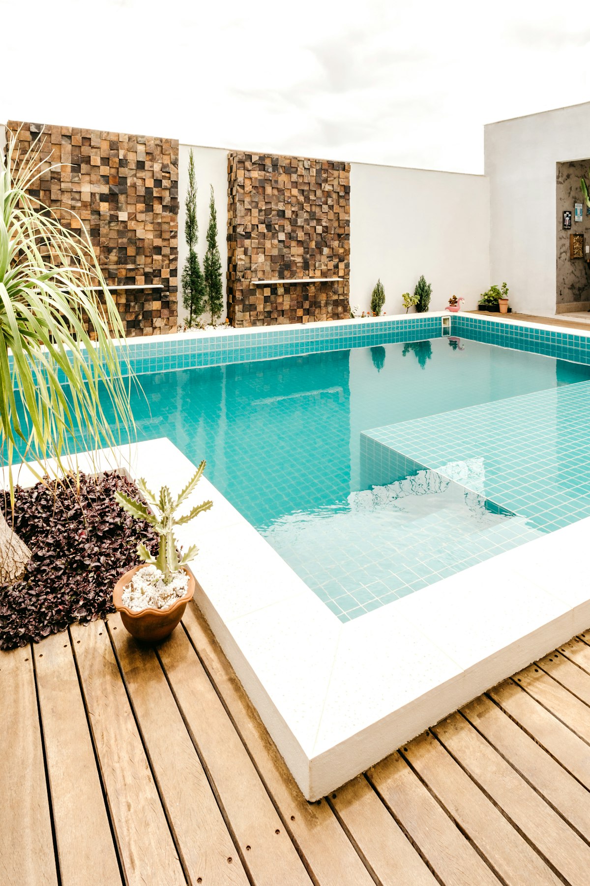 Quiet backyard pool with plants, no one home